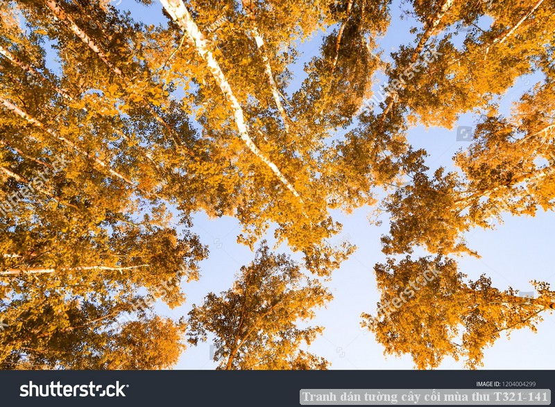 Tranh dán tường cây cối mùa thu T321-141